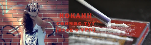 меф Инсар